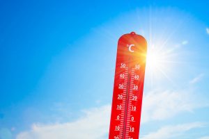 Réchauffement climatique